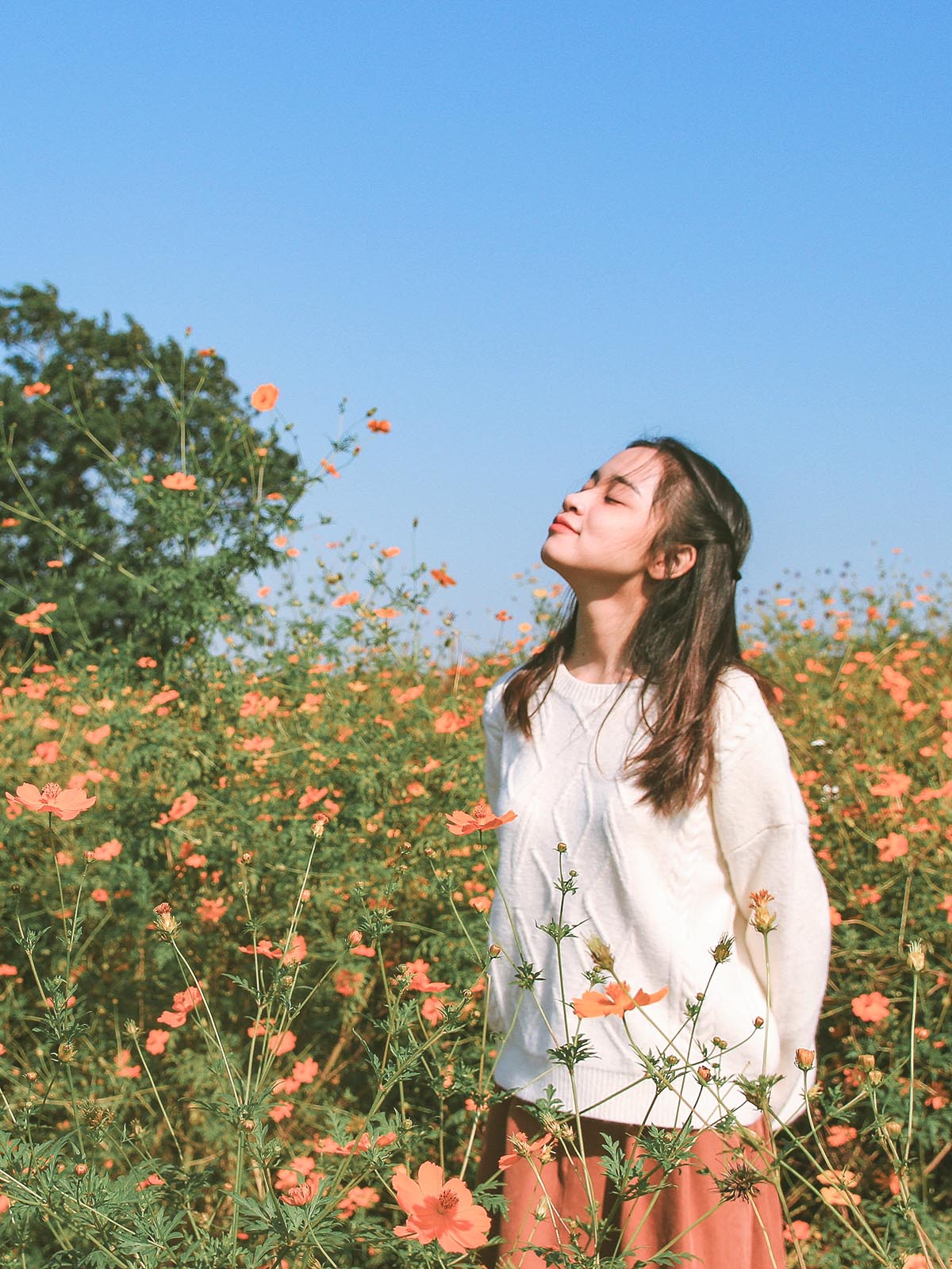 Kvinna med brunt hår luktar på orangea blommor.